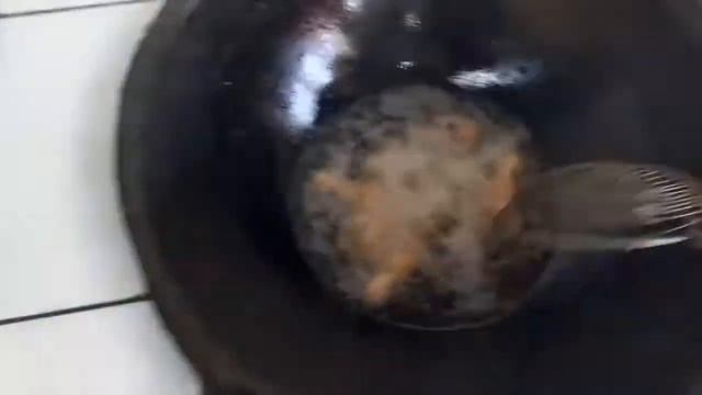 TOVUQ OYOQCHALARIDAN QOZON KABOB TAYYORLASH||приготовление казан кебаб из голена