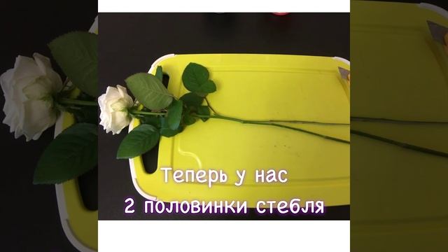 Красим цветок смотреть онлайн