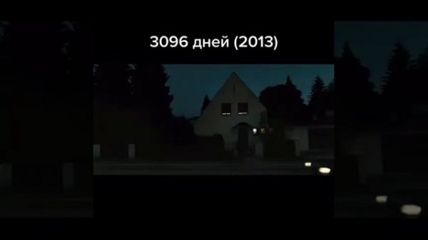 3096 дней (2013)