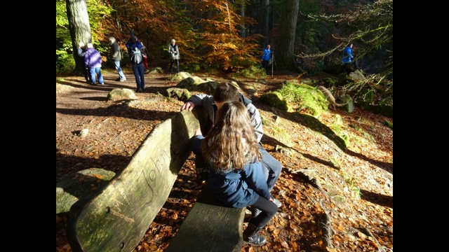 The Hermitage Dunkeld Scotland In Autumn смотреть онлайн