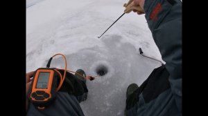 Ловля окуня зимой на Финском заливе на блесну