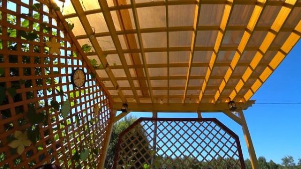 6 соток 12 июля 2021 год. Собираемся в город.