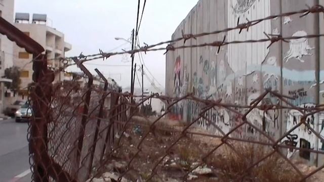 Полярный взгляд