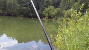 РЫБАЛКА В КУПАВНЕ ОЗЕРО БИСЕРОВО.ТАКОГО УЛОВА У МЕНЯ НЕ БЫЛО.