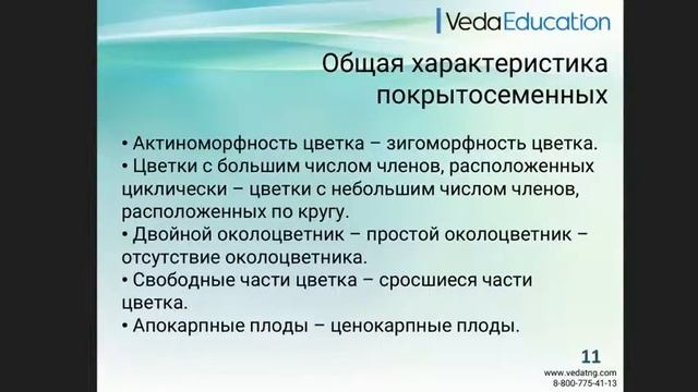 Онлайн-курс "Основы физиологии растений". Качкин К.В. смотреть онлайн