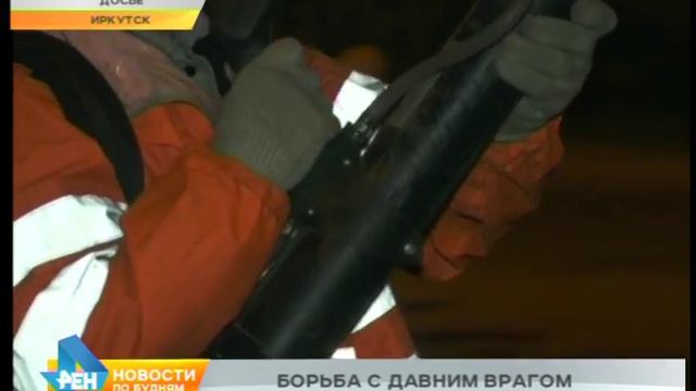 Обработка деревьев против горностаевой моли началась в Иркутске смотреть онлайн