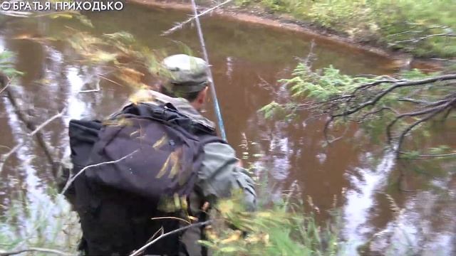 УХА ИЗ ХАРИУСА / ХАРИУС ИЗ ТАЕЖНОЙ РЕКИ смотреть онлайн