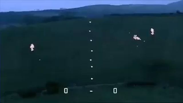 вот чему можно научить даже баранов при помощи собак!!!! смотреть онлайн