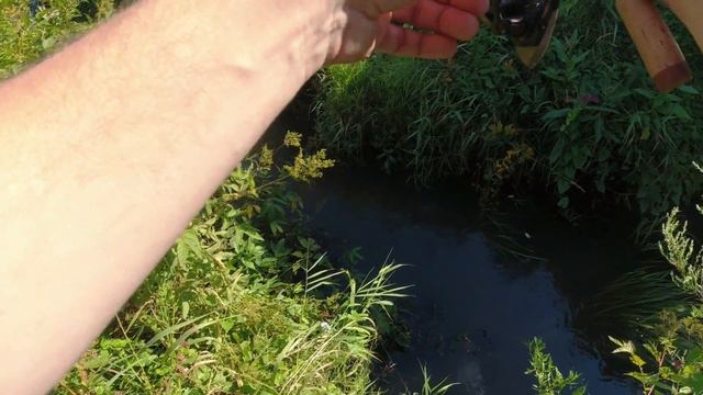 #264 Мормышинг Лещ и плотва на микро речке смотреть онлайн