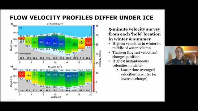 UAS: How ice and ice break-up shape (sub)Arctic streams with ass. prof. Lina Polvi Sjöberg смотреть онлайн
