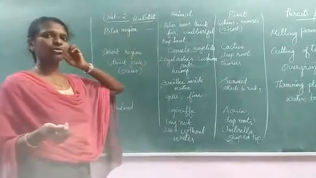 Class 4 EVS part 1 revision смотреть онлайн