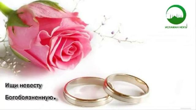 О брать ищи невесту который от этого мира ничего не нужно смотреть онлайн