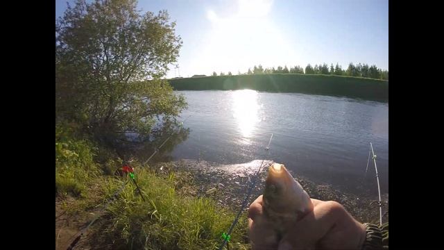 Рыбалка на пахре, вот это экземпляр влетел я в шоке.... смотреть онлайн