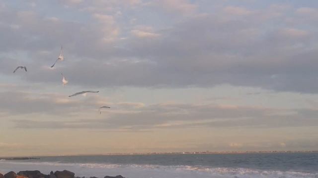 Ocean and ozone scent NY Beach-" Missing you comes in waves, and tonight I'm drowning.16.02.16 смотреть онлайн