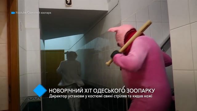 Новогодний хит Одесского зоопарка: директор зверинца в костюме свиньи стрелял и бросал ножи смотреть онлайн