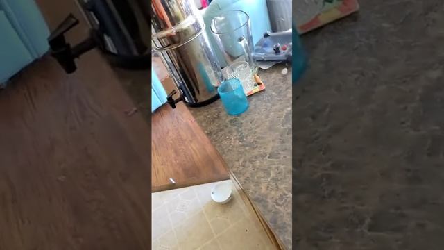 Отдохнуть не получилось! ?