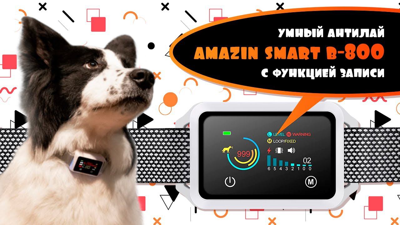 Обзор умного антилай ошейника SmartB-800 | Amazin.su смотреть онлайн