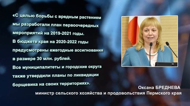 Готовимся к борьбе...с борщевиком смотреть онлайн