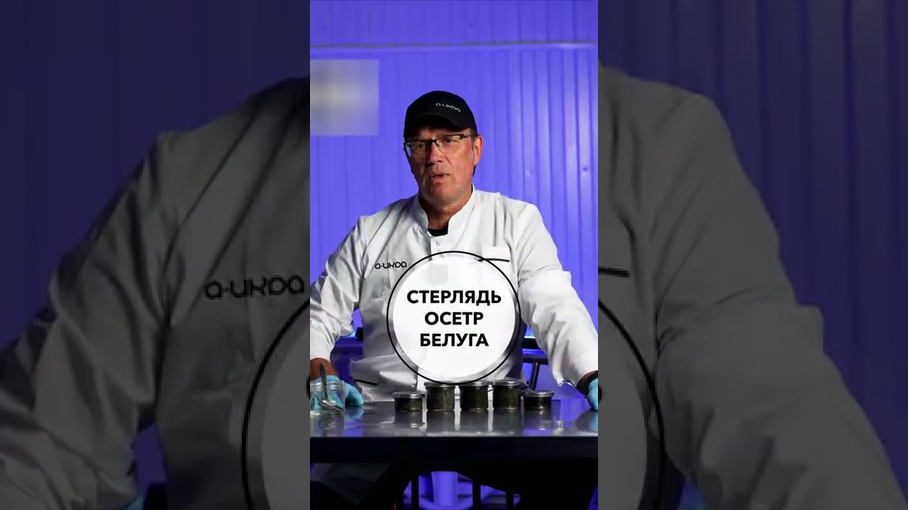 Основные виды осетровых рыб на прилавке магазина #shorts смотреть онлайн