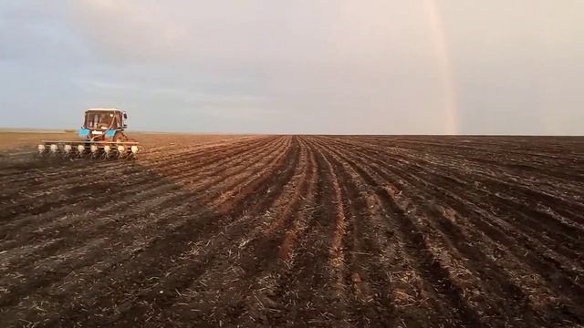 Посев подсолнуха 2021г.06.06. смотреть онлайн