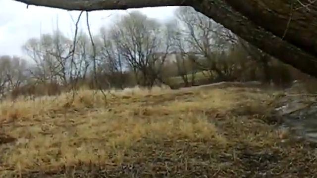 +Вызов Духов+ | НЛО (Я ВИДЕЛ ИНОПЛАНЕТЯН!!! НЕ ШУЧУ!!!) смотреть онлайн