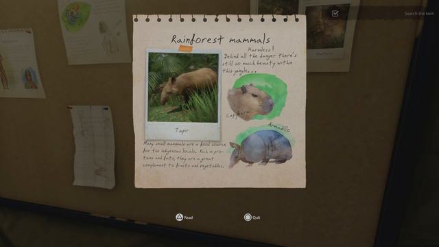 Green Hell part 1 on ps5 in 4k 60fps смотреть онлайн