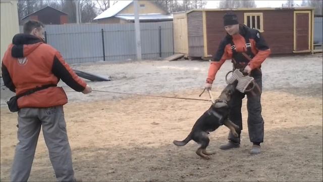 Зепп. первая защита 4 месяца смотреть онлайн