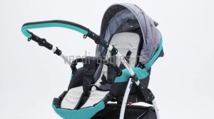 Детская коляска Verdi Optima 3 в 1