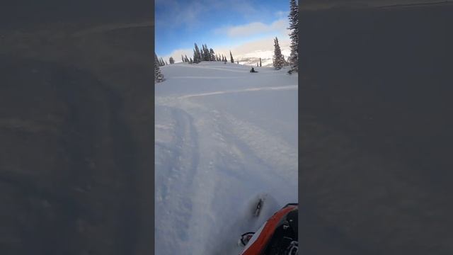 We Love Playing On This Hill! Day 16 (1/20/2023) #lynx ##turbo #skidoo #snowmobilefail #850