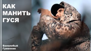 Как манить гуся обучалка!
