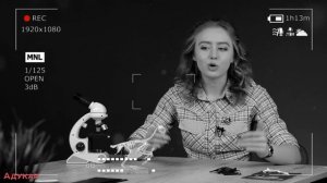 Класс птицы | Зоология, Биология ЕГЭ, ЦТ, ЦЭ Внешнее и внутреннее строение птиц | Уроки по биологии