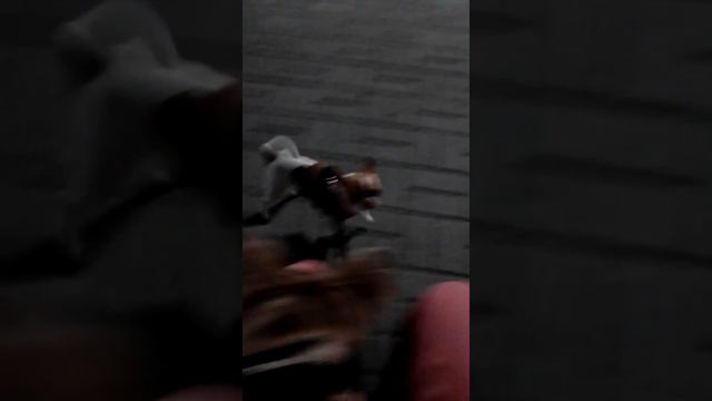 гуляем ночью, потому что жара