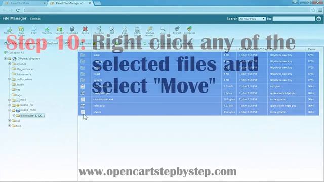 How To Install Opencart 2.1.0.1 Easily Using Cpanel смотреть онлайн