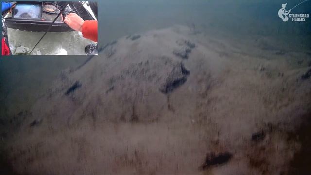 ШОК! Под лункой нашли ЛОГОВО СОМОВ! Рыбалка при помощи подводной камеры смотреть онлайн
