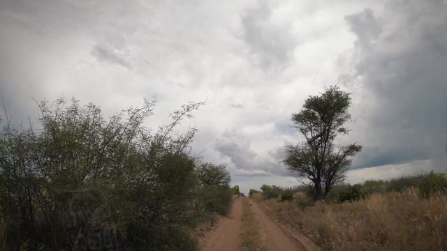 Behind The Scenes Of Wildlife Filmmaking In Botswana (4K UHD)