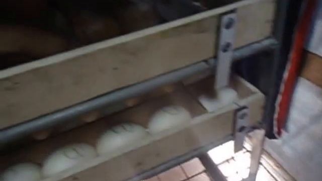 Самодельный инкубатор на 300 яиц , вылупление цыплят ( видио №3 ) смотреть онлайн