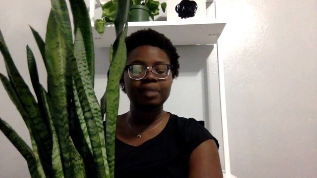 Sansevieria Zeylanica