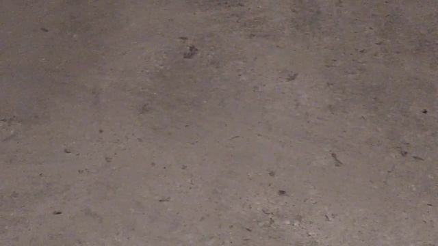 Голуби.уборка смотреть онлайн