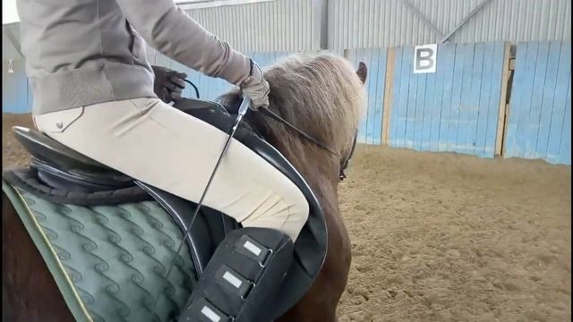 Лошадь валится в повороте/ Дивные Кони смотреть онлайн