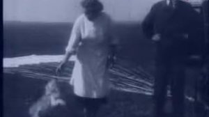 Отряд космических дворняг