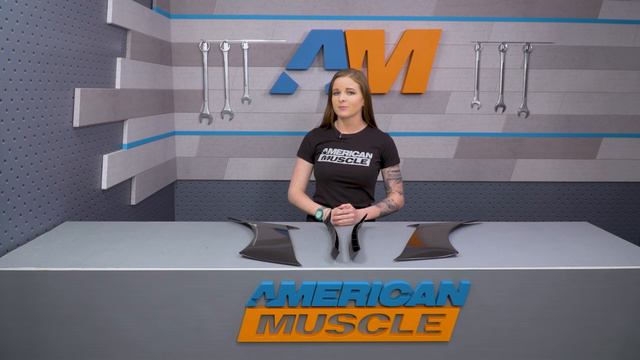 2015-2017 Mustang GT, EcoBoost, V6 MP Concepts GT350 Style Fender Scoops Review & Install смотреть онлайн