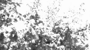 EATEOT - Stage 3 - Visual Album