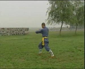 Шаолинь Дуань-да - Шаолиньские короткие удары. Ч 1.