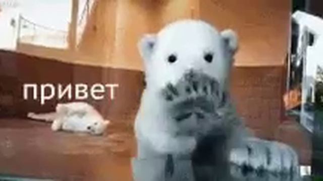 GIF привет смотреть онлайн