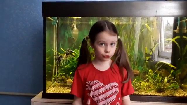 А. Кушнер. Не шумите. Читает Катя Ярошенко смотреть онлайн