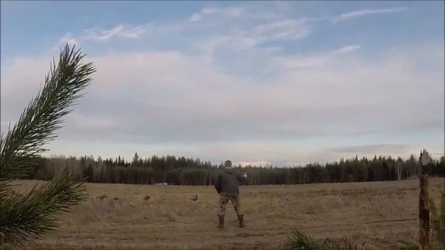 Когда гусь не идет.... смотреть онлайн