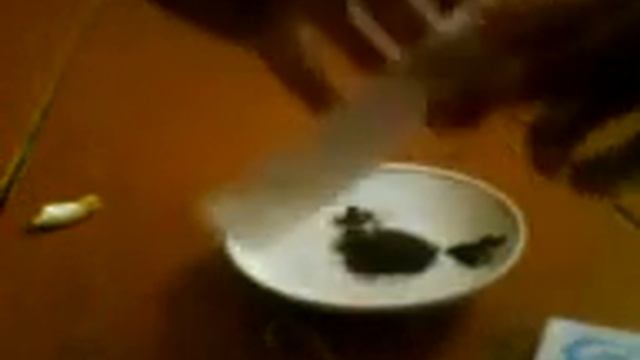 Эксперимент с чайным пакетиком!) смотреть онлайн