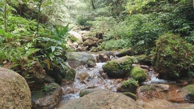KHAO LUANG national park ผาเหยียบเมฆ смотреть онлайн
