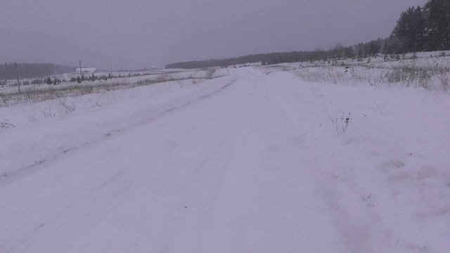 Самодельные палки из дерева для конькового хода. Сделал палки поехал быстрее Большунова смотреть онлайн