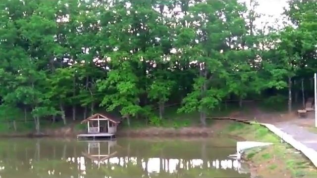 Природа Краснодар смотреть онлайн